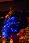 DSC09586