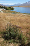 DSC07290
