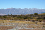DSC07305