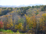 P1311356