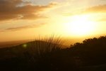 DSC08873