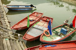 DSC05554