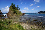 DSC00252