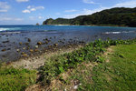 DSC00254