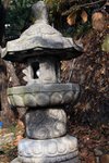 IMG_4719