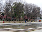P1020599