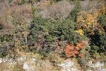 DSC01613