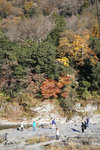 DSC01614