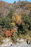 DSC01617