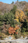 DSC01618