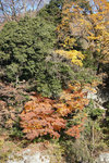 DSC01637