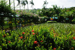 DSC00617