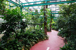 DSC00620