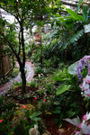 DSC00622