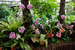 DSC00626