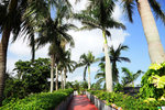 DSC00630