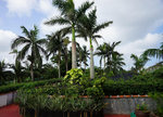 DSC00632