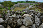 DSC00564