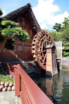 IMG_9941