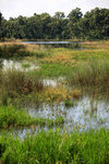 IMG_1207