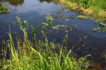 IMG_1279