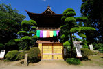 DSCF6675