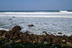 DSCF6616