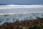 DSCF6618