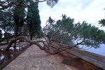DSCF9156