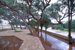 DSCF9167