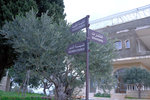 DSCF9202