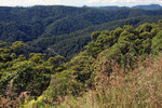 DSC05763