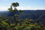 DSC05767