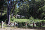 DSC05768