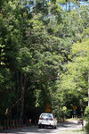 DSC05776