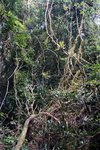 DSC05788