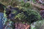 DSC05790
