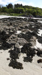 DSC00809