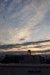 DSC06987