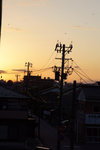 DSC07334