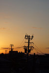 DSC07339