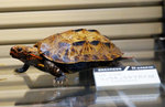 DSC00002