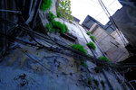 DSCF7944