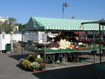 IMG_2055