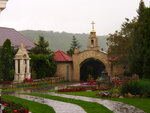 P1466785