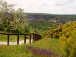 P1466769