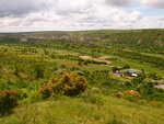P1466775
