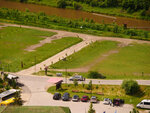 P1466781