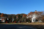 DD4W8080
