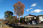 DD4W8090